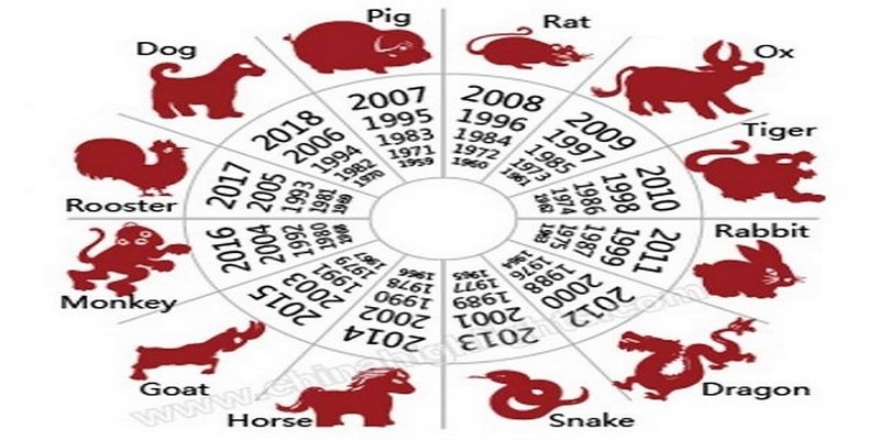 Đối chiếu trường hợp con vật với bộ số thật chuẩn trong bảng tổng hợp 