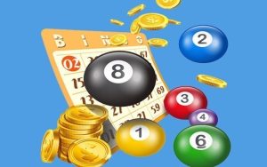 Bí quyết nuôi lô khung 3 ngày luôn đúng