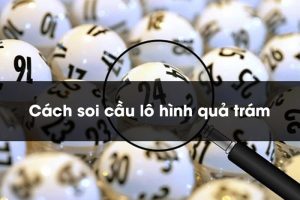 Soi cầu quả trám